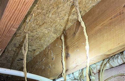 Termite tunnels. Things To Know About Termite tunnels. 